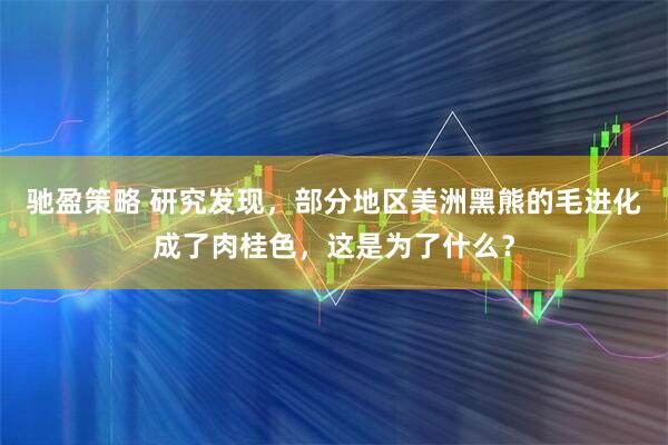 驰盈策略 研究发现，部分地区美洲黑熊的毛进化成了肉桂色，这是为了什么？