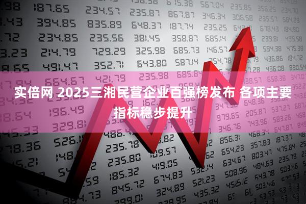 实倍网 2025三湘民营企业百强榜发布 各项主要指标稳步提升